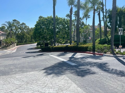 an empty street with palm trees and a house