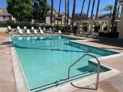 the swimming pool at the resort at longboat key club
