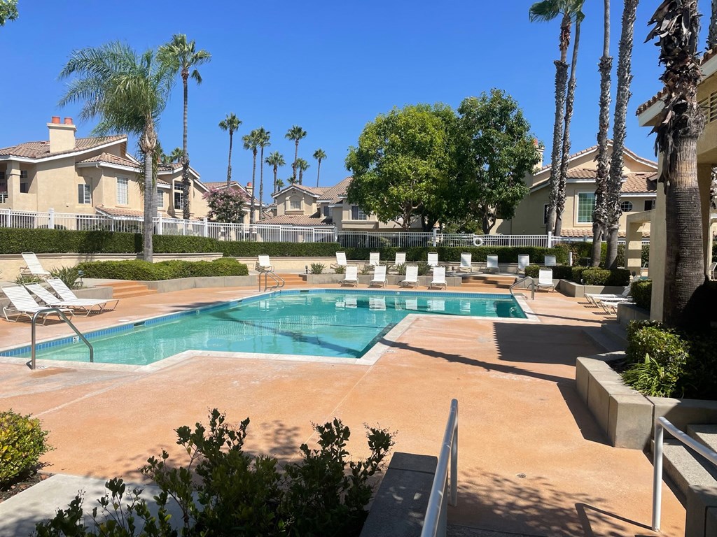 a swimming pool with palm trees and houses in the background