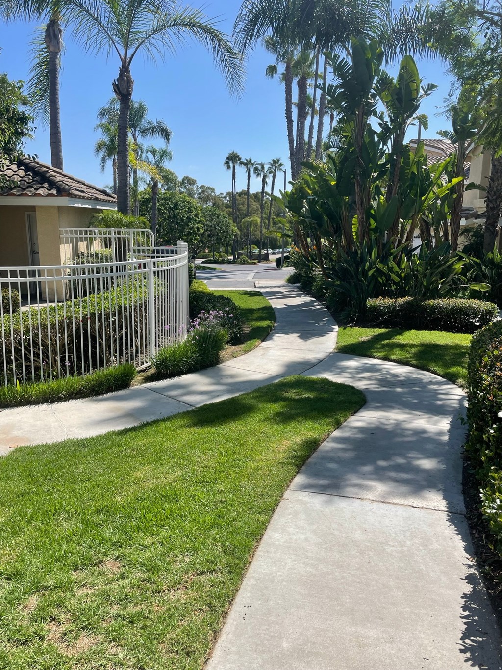 a sidewalk in a neighborhood with palm trees