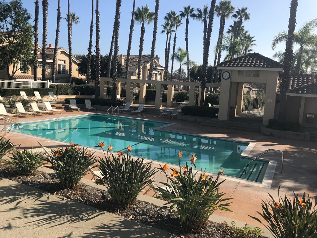 a large swimming pool with palm trees in the background