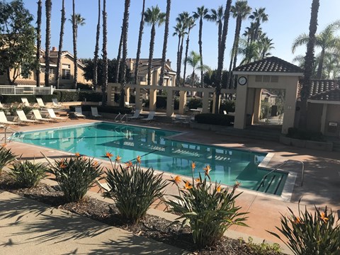 a large swimming pool with palm trees in the background