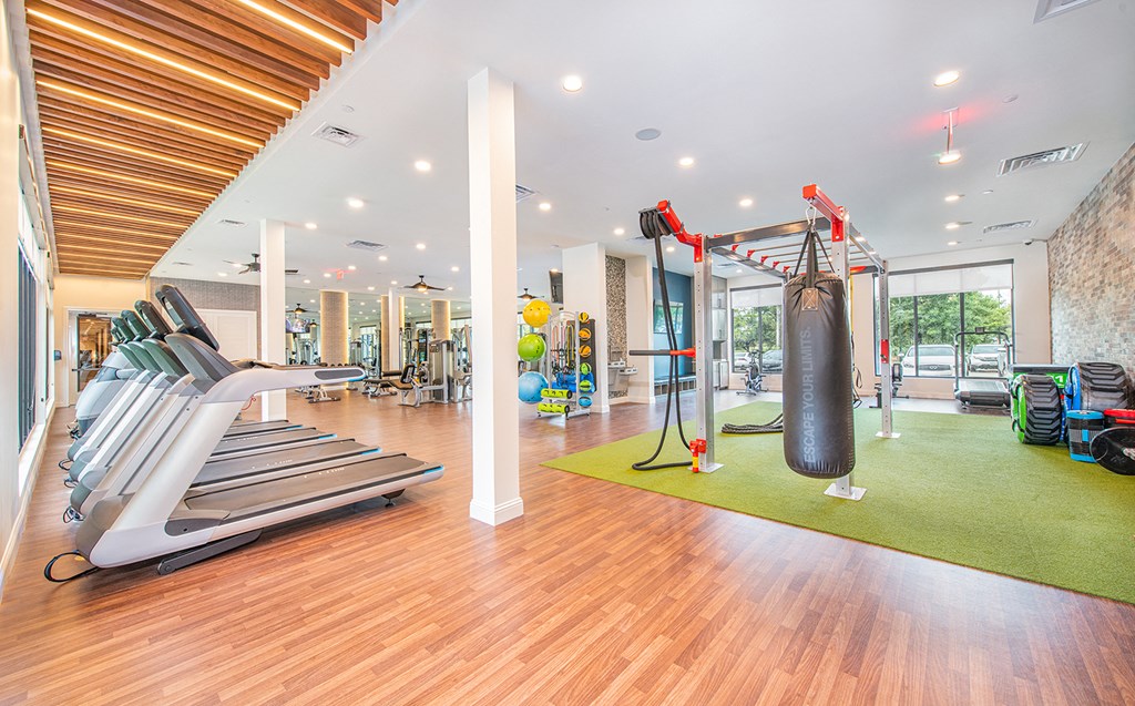 a gym with cardio equipment and weights on a green rug