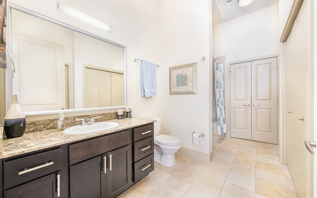 a bathroom with a toilet and a sink and a mirror