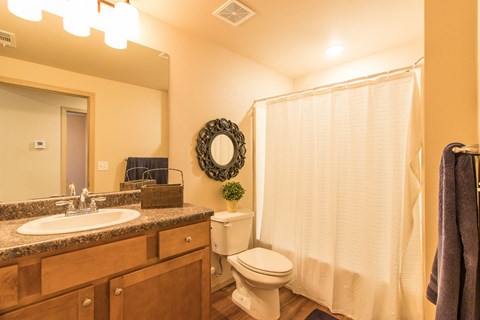 a bathroom with a shower toilet and sink and a mirror