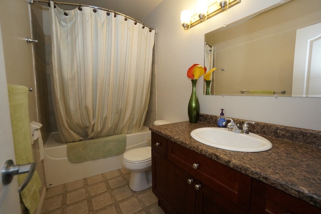 a bathroom with a sink and a toilet and a shower