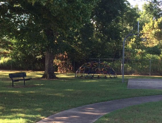 a park with a bench and a tree