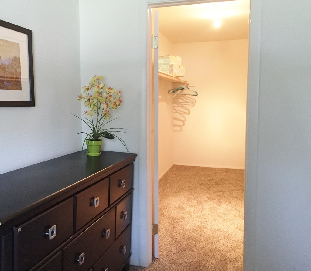 a hallway with a dresser and a closet with a plant