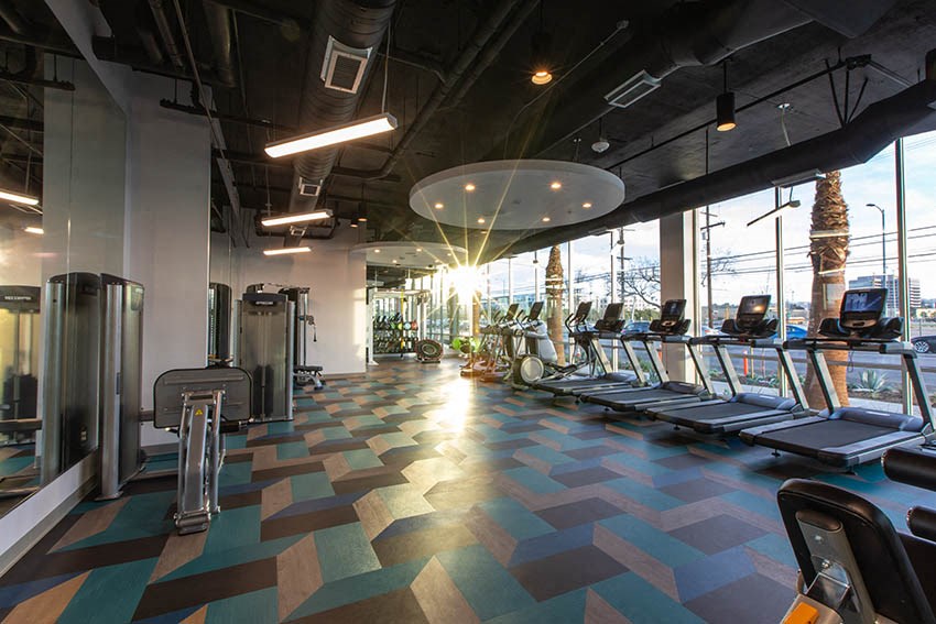 a gym with cardio machines and a view of the city