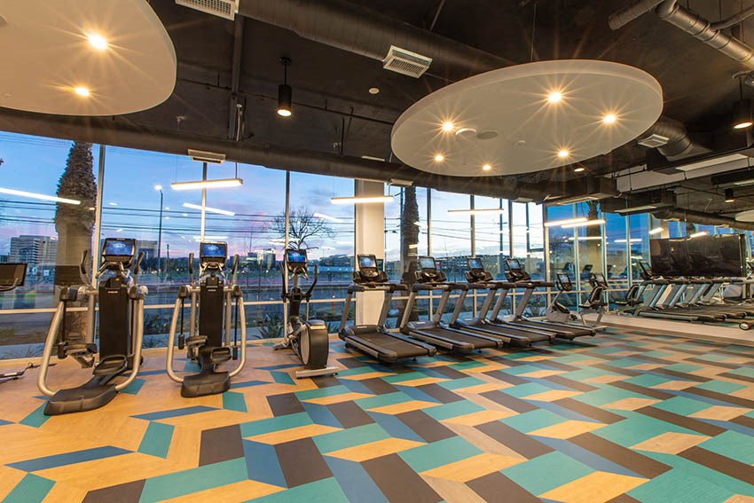 a gym with cardio machines and a view of the city