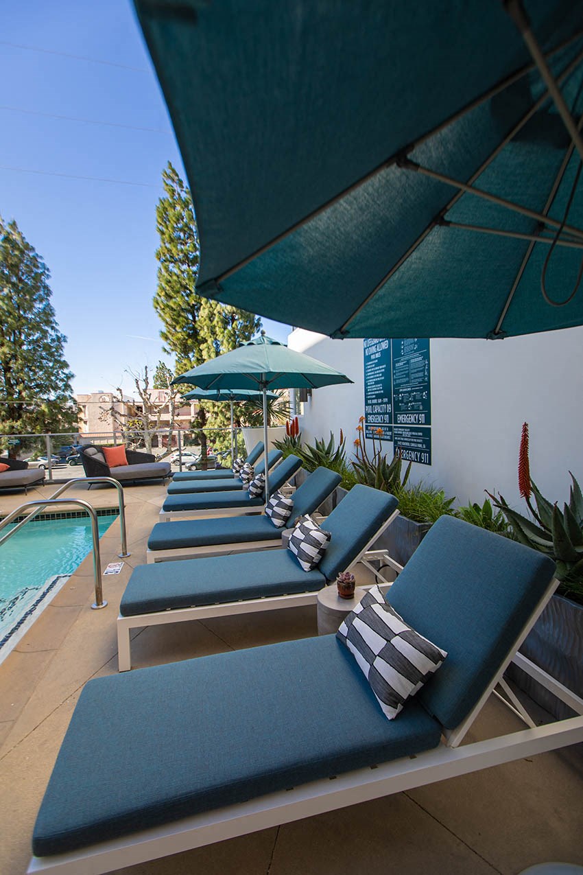 a row of blue lounge chairs next to a pool