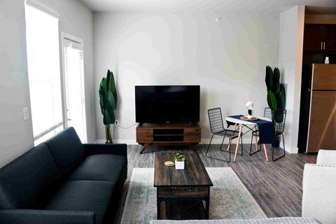 A living room with a black sofa, a wooden coffee table, a flat screen TV, a dining table with chairs, and a potted plant.