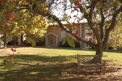 a bench under a tree in front of a house