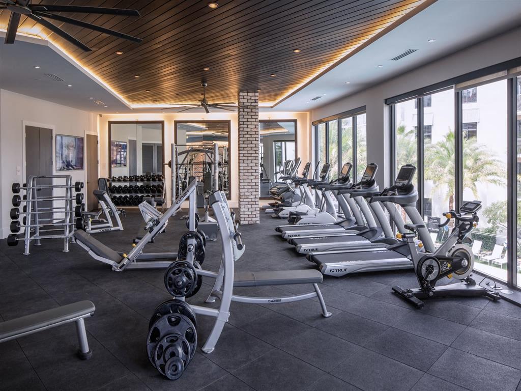 cardio machines and free weights