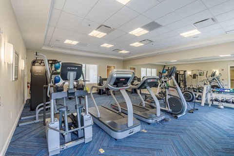 A gym with treadmills, elliptical machines, and other exercise equipment.