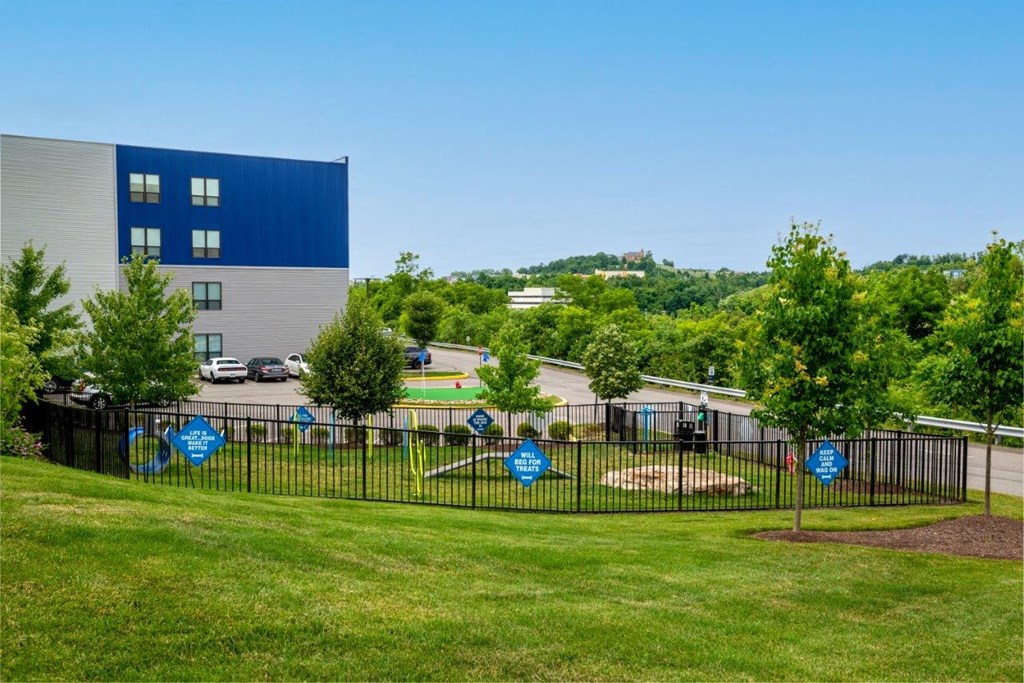 a yard with a playground and a blue building