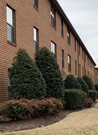 a row of hedges in front of a brick building