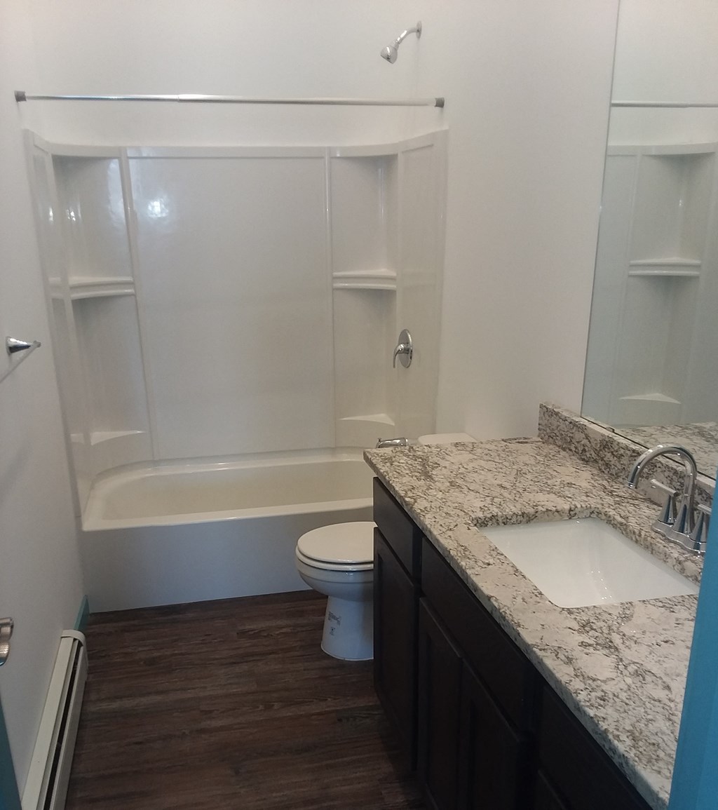 a bathroom with a sink and a toilet and a shower