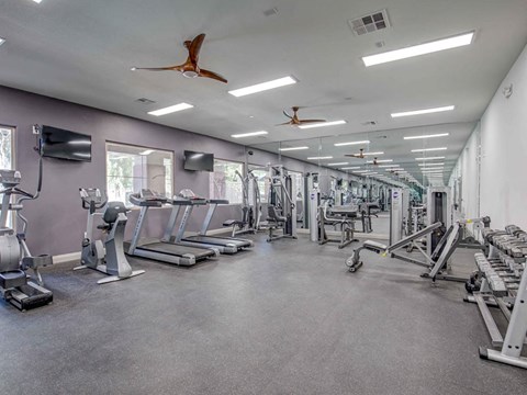 Fitness center with cardio equipment and weights 