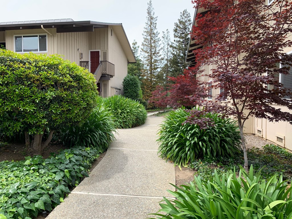 Prodesse Property Group Sylvan Square Apartments750 Sylvan AvenueMountain View, CA 94041