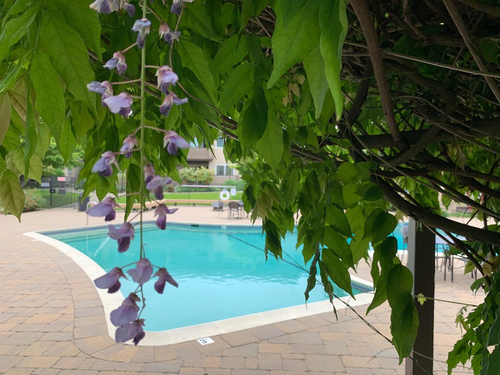 Prodesse Property Group Sylvan Square Apartments750 Sylvan AvenueMountain View, CA 94041