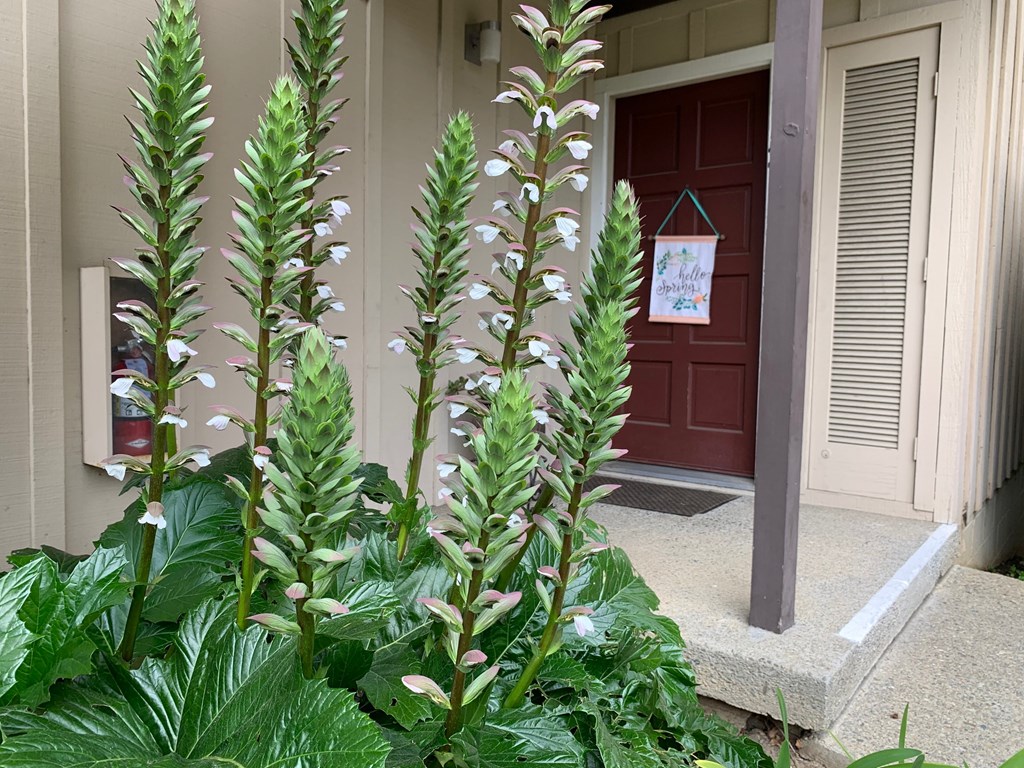 Prodesse Property Group Sylvan Square Apartments750 Sylvan AvenueMountain View, CA 94041