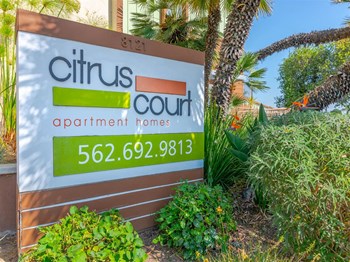 signage of citrus court