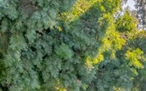 Citrus Grove Apartments Apartments In Redlands Ca