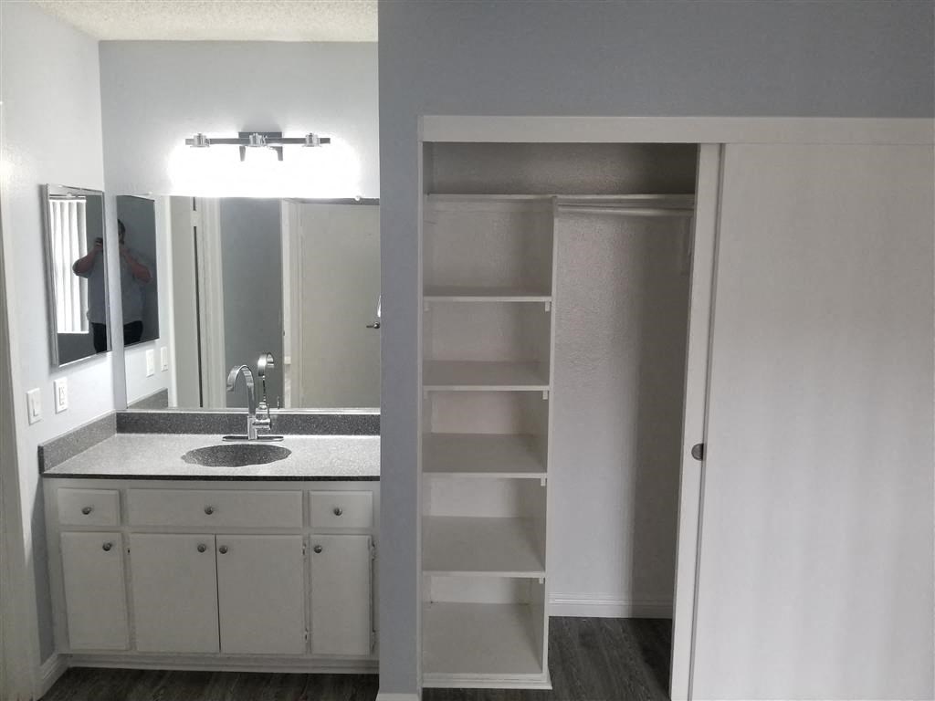 a bathroom with a sink and a mirror and a closet