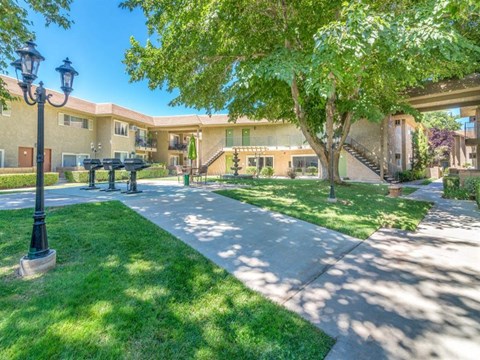 a courtyard with a tree and a building in the background