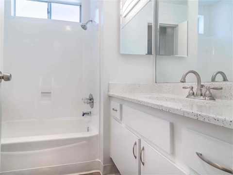 a bathroom with a sink and a shower and a mirror