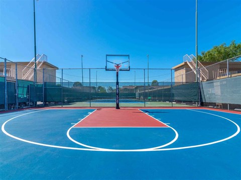 a blue and red basketball court with a basketball hoop in the middle
