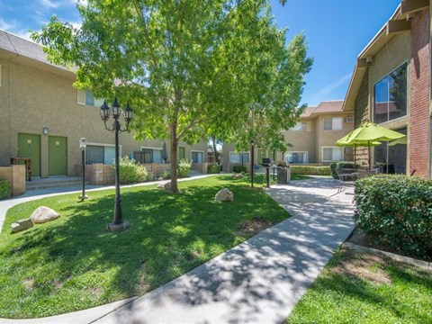 our apartments have a spacious courtyard with trees and grass