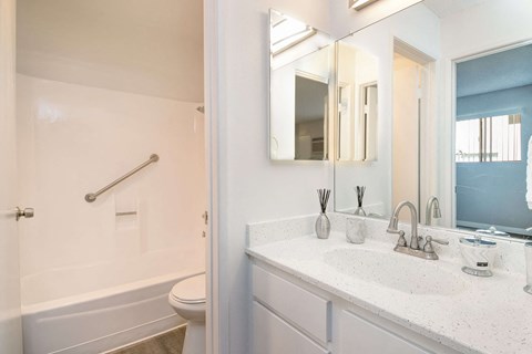 a bathroom with a sink and a toilet and a mirror