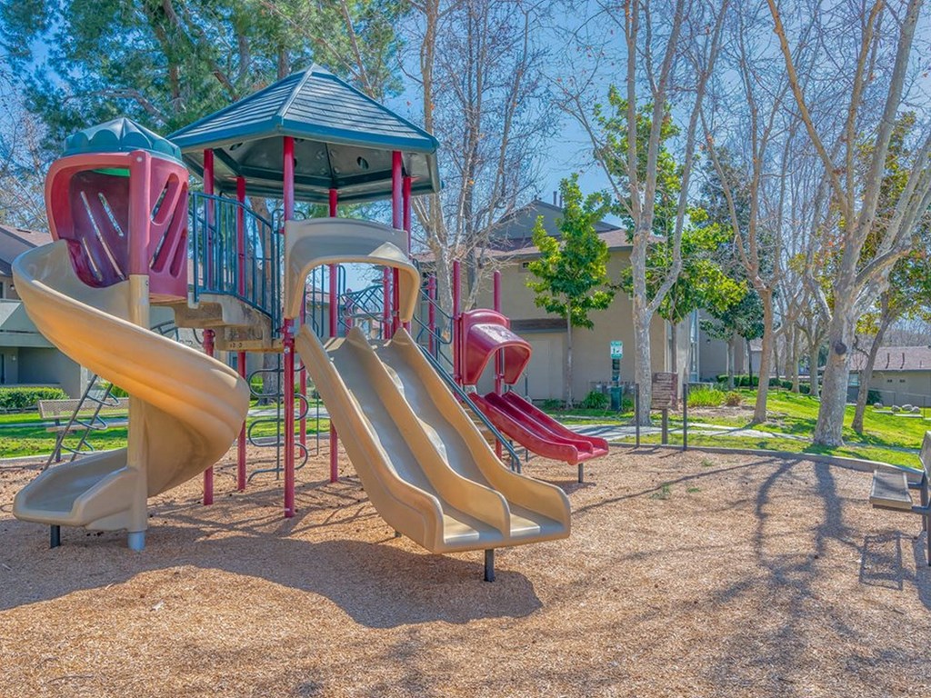 the playground with a slide and jungle gym