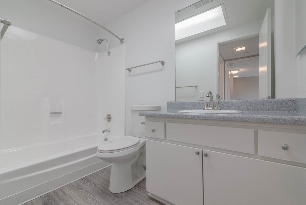 a bathroom with a sink and a toilet