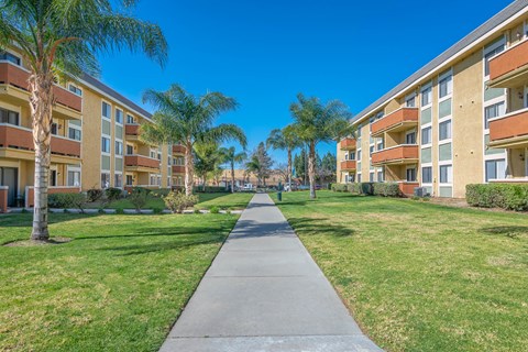 a sidewalk leading to an apartment building with palm trees