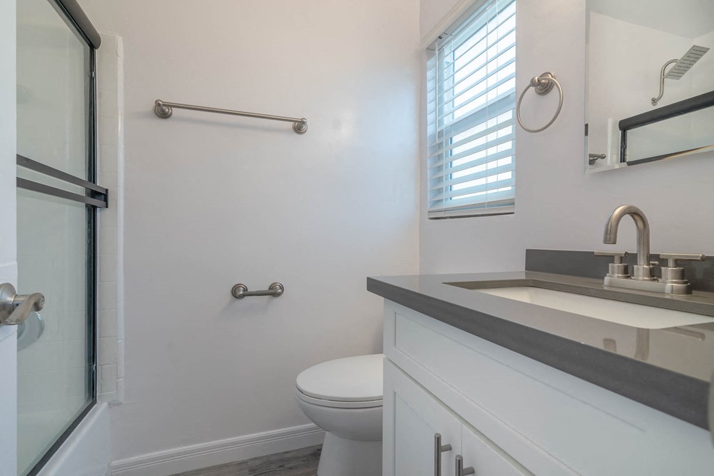 a bathroom with a sink and a toilet and a shower