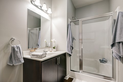 a bathroom with a shower and a sink and a mirror