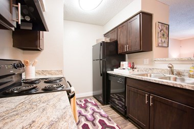 905 Cypress Station 1 Bed Apartment for Rent Photo Gallery 1