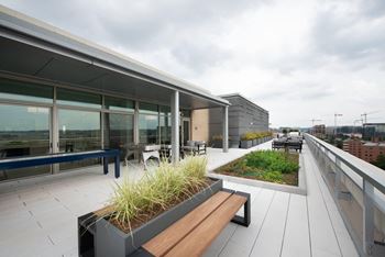 Landscaped Rooftop with Sundeck and Grills