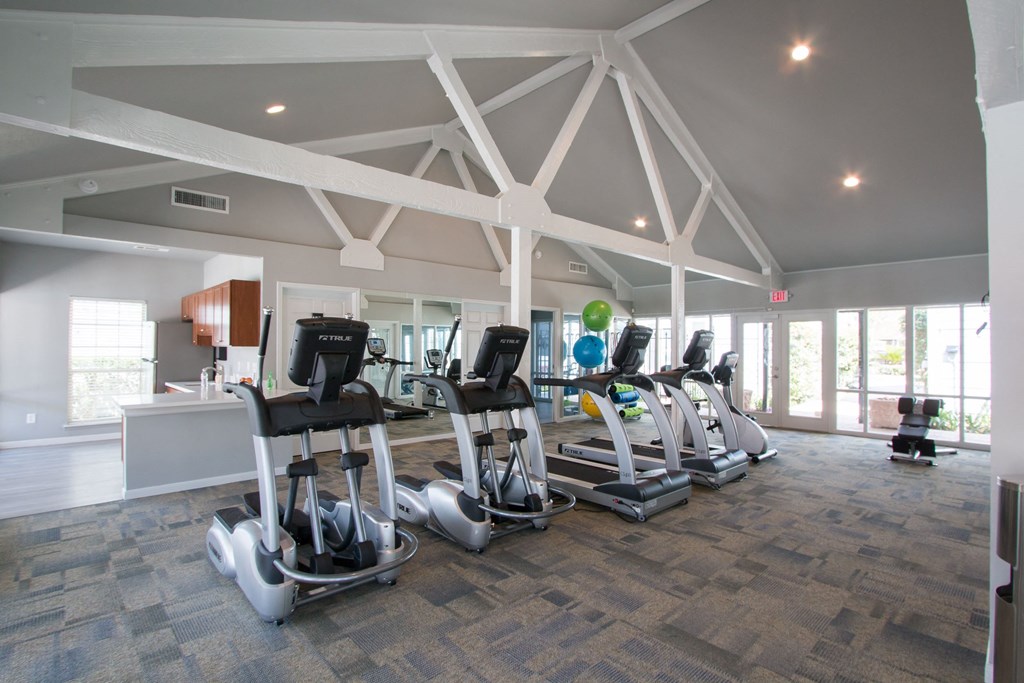 houston tx apartments