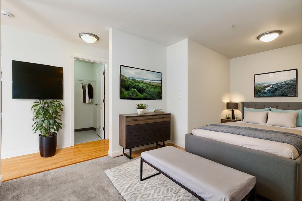 a bedroom with a bed and a tv and a closet