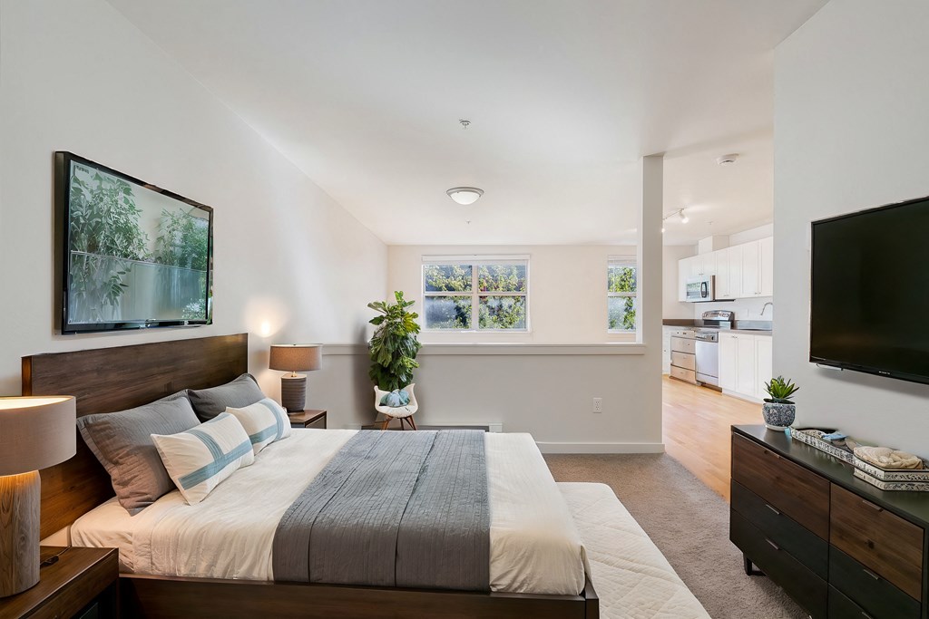 a bedroom with a large bed and a tv