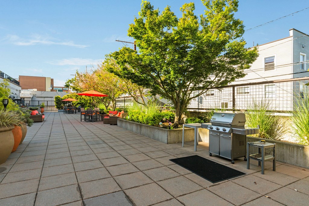 a terrace with a barbecue grill and a tree