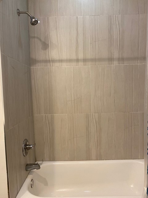 a bathroom with a shower and a bath tub