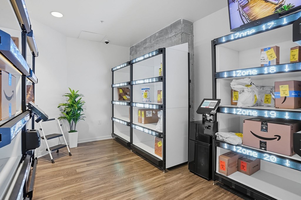 A room with a potted plant, a chair, and a wall with a large screen.