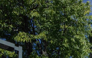 Huntsville Al Apartments The Reserve At Research Park Apartments