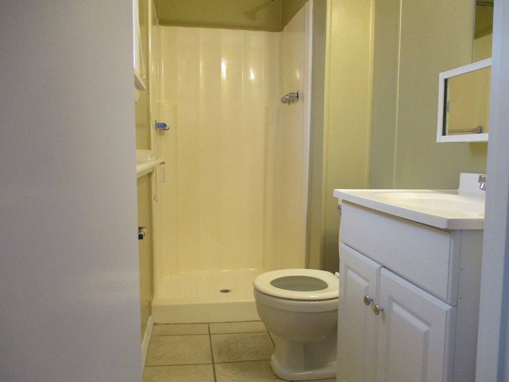 a bathroom with a toilet and a shower