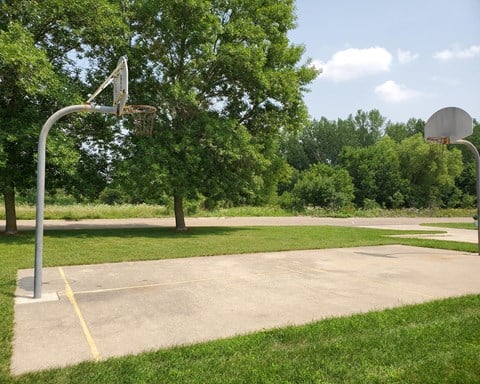a basketball hoop in a park
